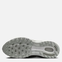Мужские кроссовки Nike Air Pegasus Wave